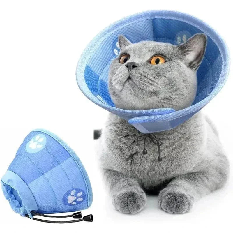 Collier anti-léchage chat - Protection soin | HealCat