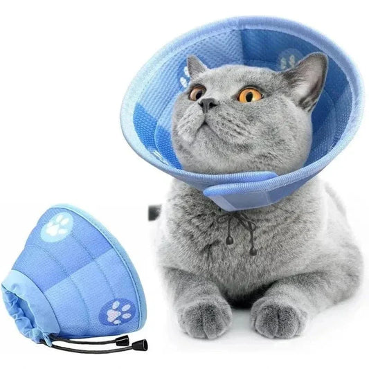 Collier anti-léchage chat - Protection soin | HealCat