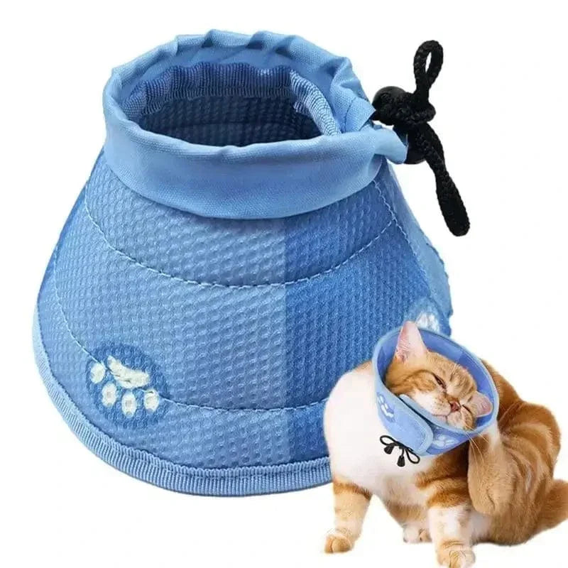 Collier anti-léchage chat