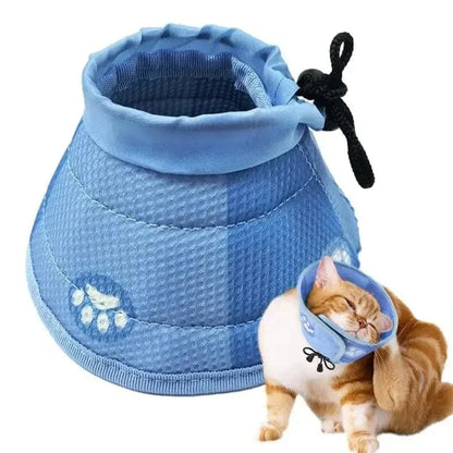 Collier anti-léchage chat