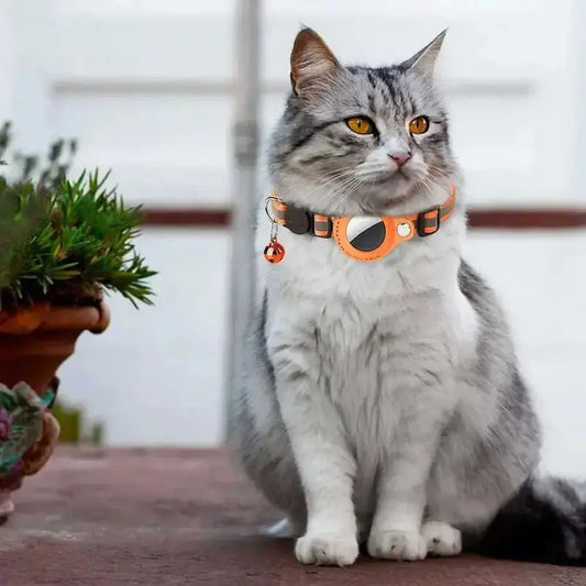 Collier chat AirTag - Suivi GPS en temps réel | FéliTrack