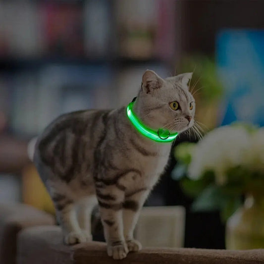 Collier chat lumineux – Visibilité nocturne | GlowCat