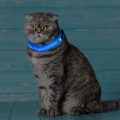 Collier chat lumineux