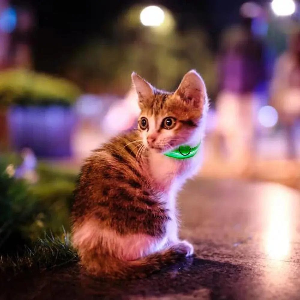 Collier chat lumineux