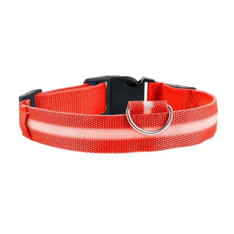Collier chat lumineux
