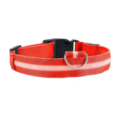 Collier chat lumineux
