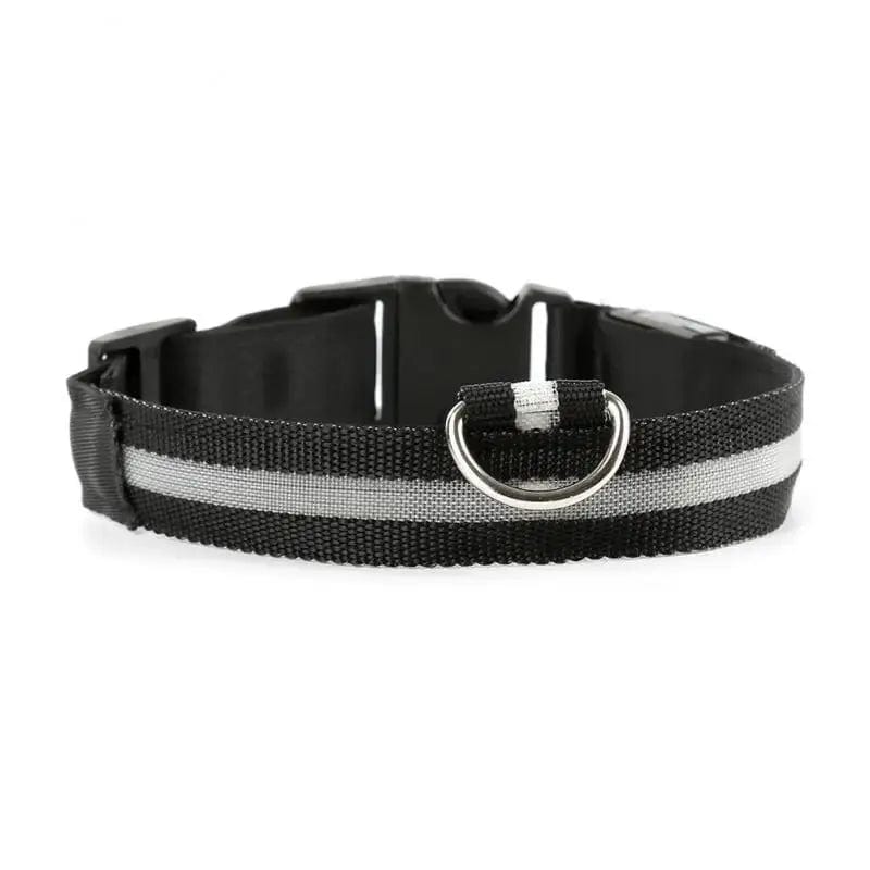 Collier chat lumineux