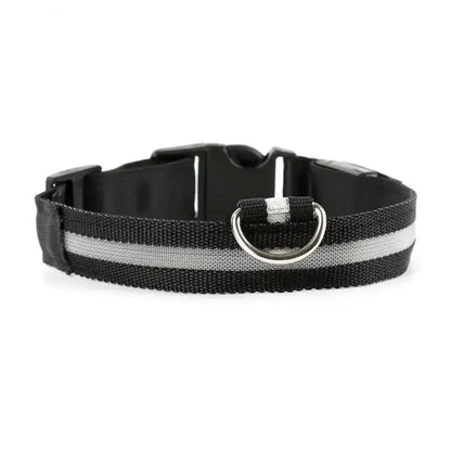 Collier chat lumineux