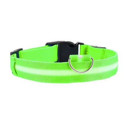 Collier chat lumineux