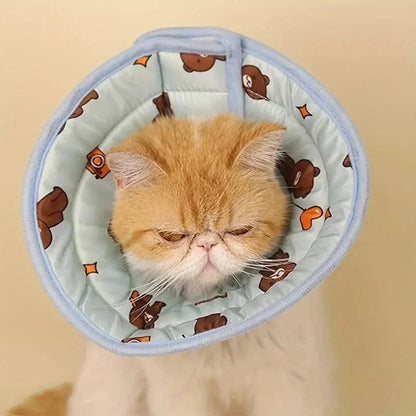 Collier récupération chat