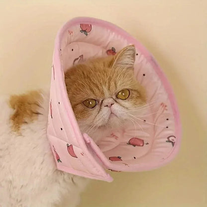 Collier récupération chat