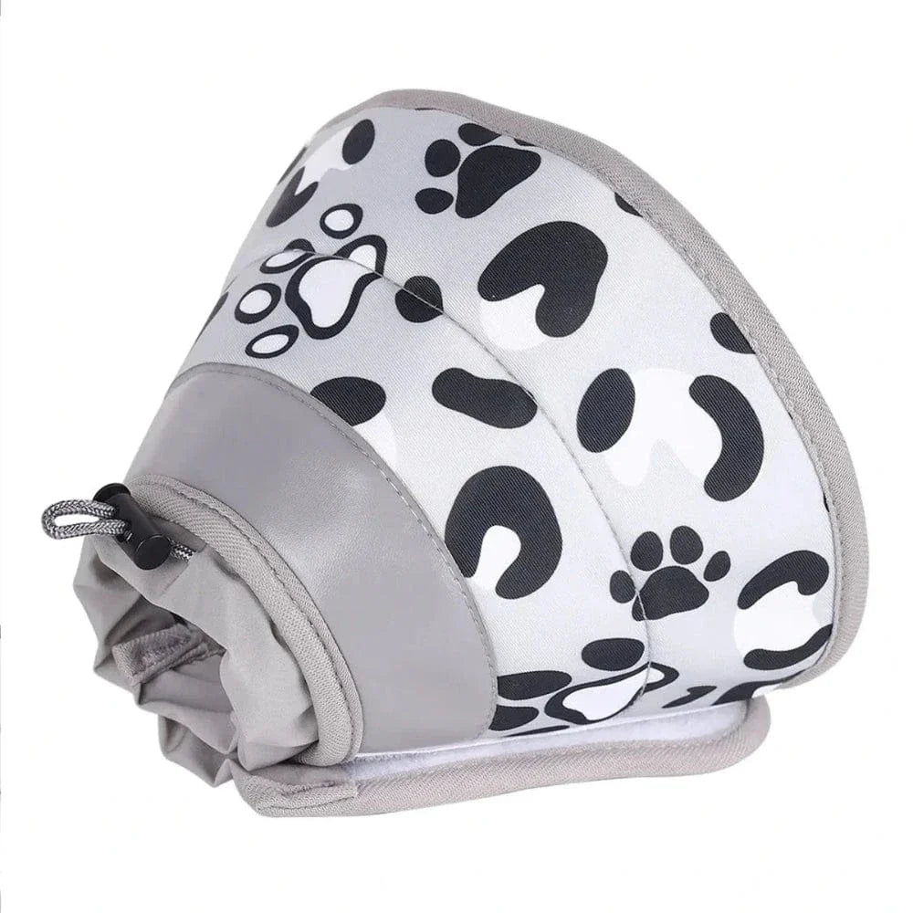 Collier récupération chat
