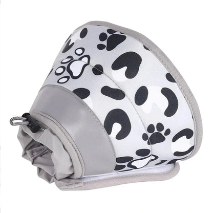 Collier récupération chat