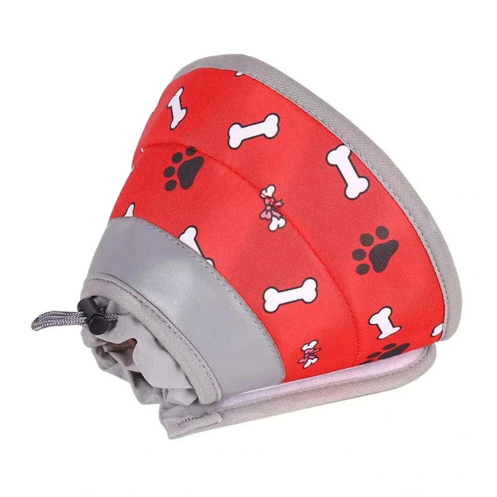 Collier récupération chat