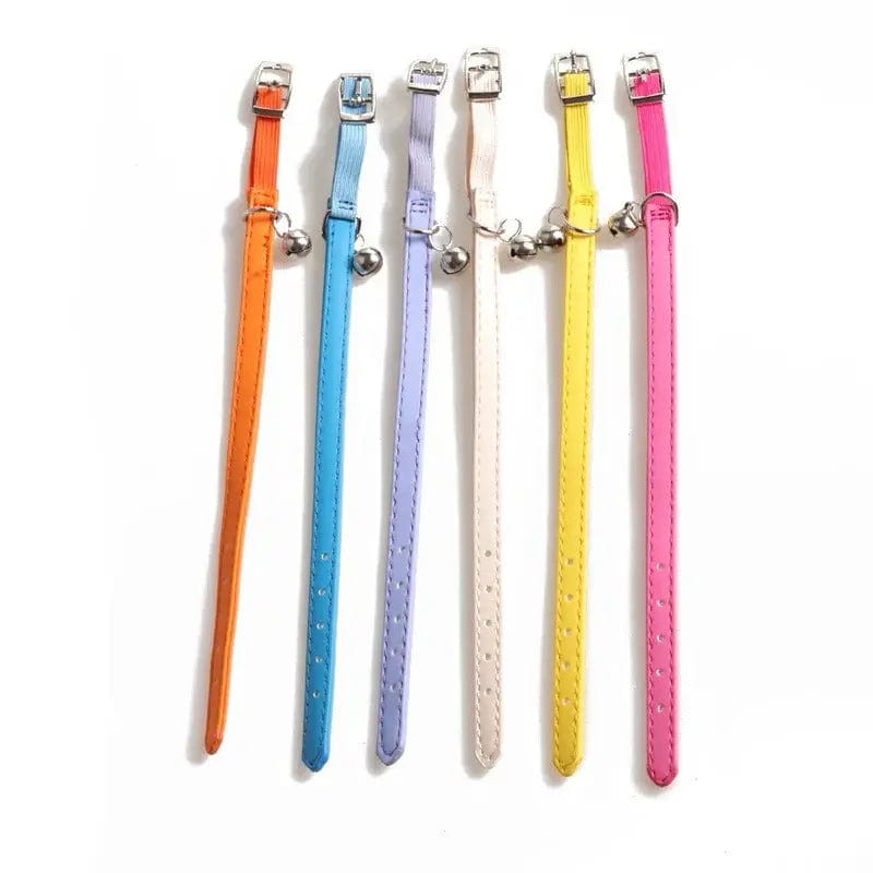 Collier élastique chat – Sécurité flexible
