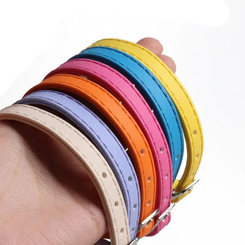 Collier élastique chat – Sécurité flexible
