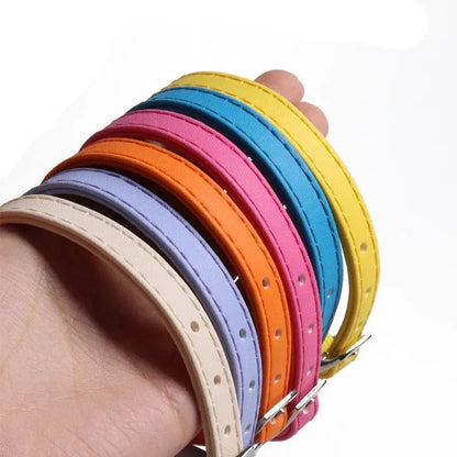 Collier élastique chat – Sécurité flexible