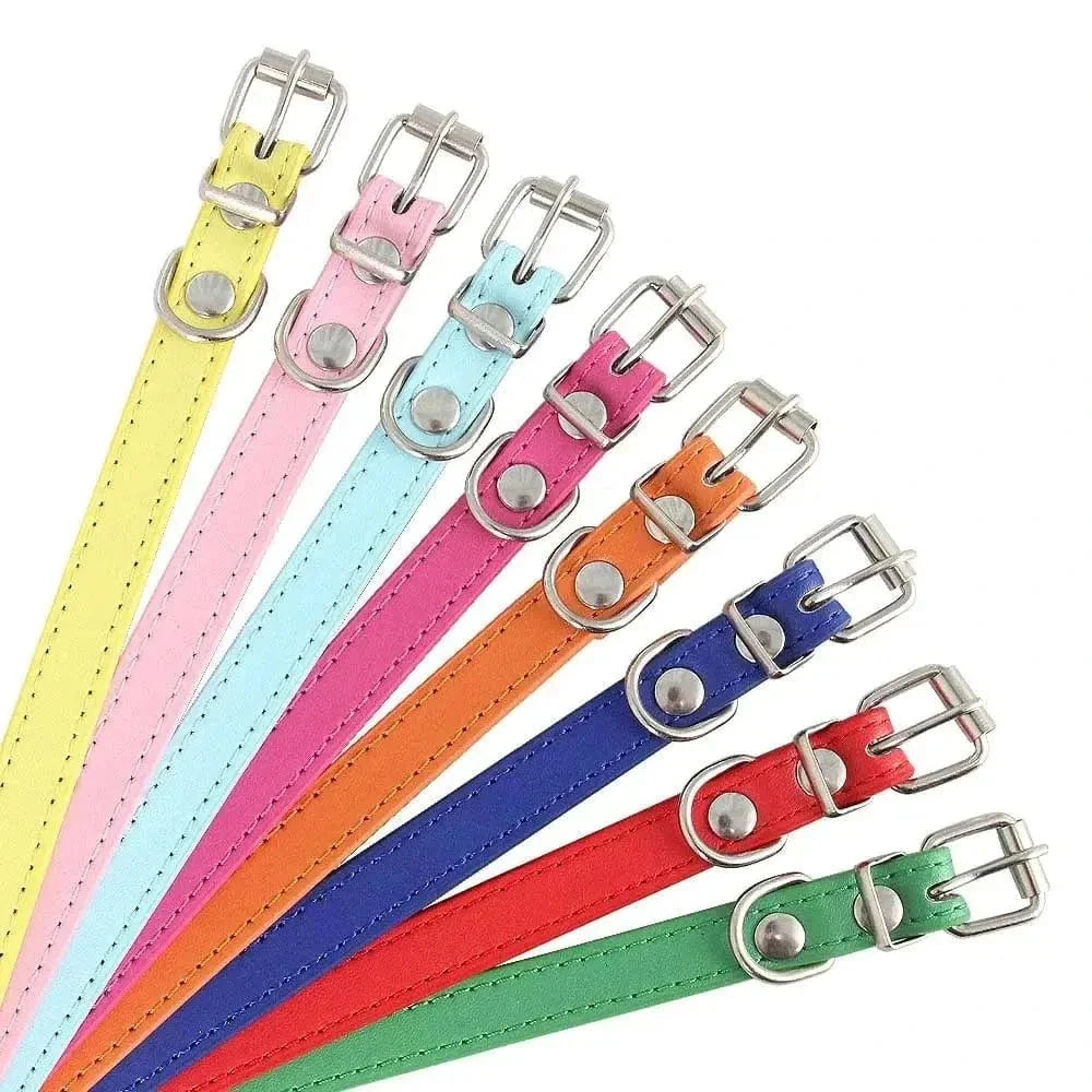Collier cuir pour chat