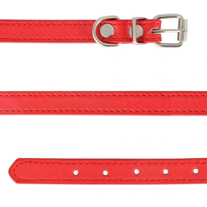 Collier cuir pour chat