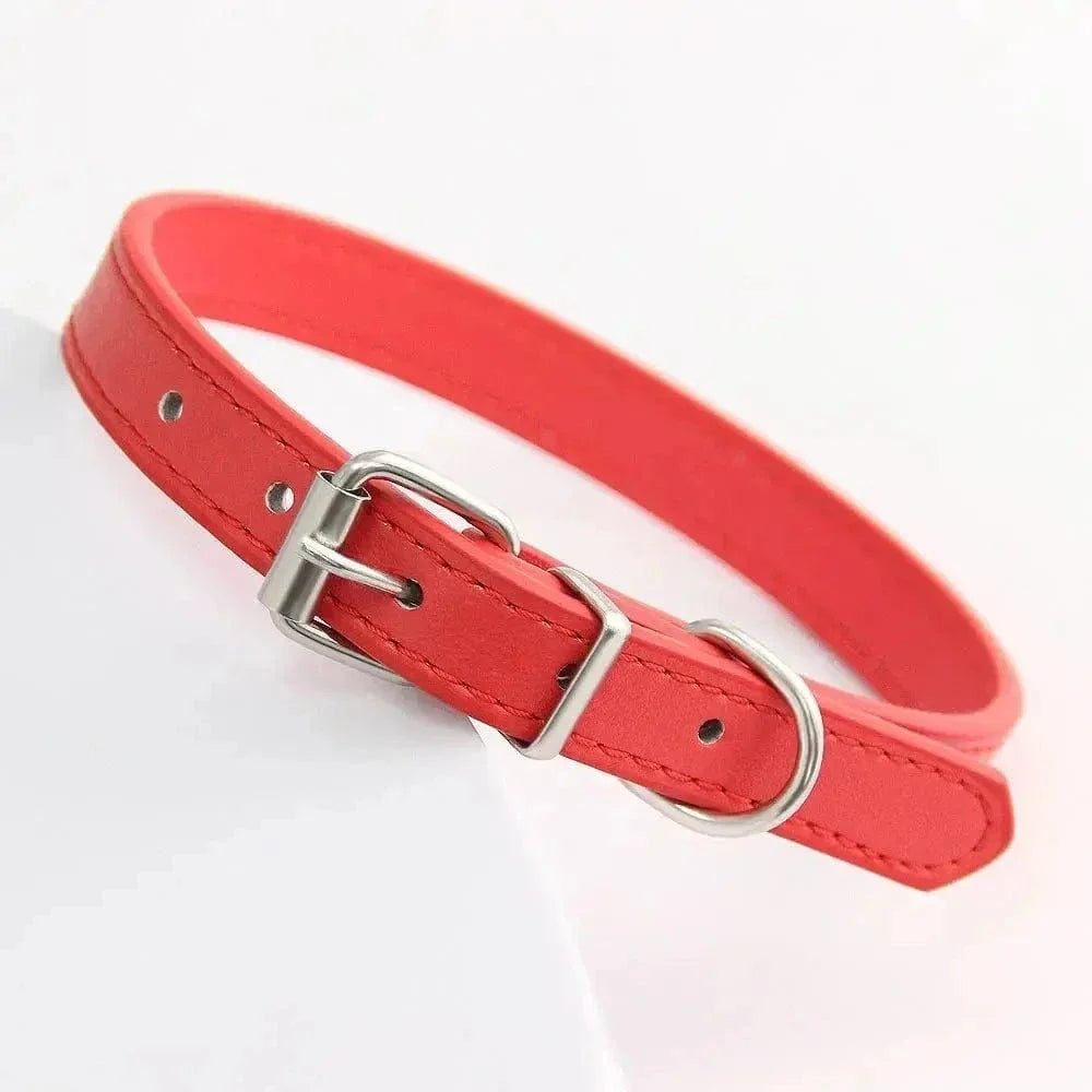 Collier cuir pour chat
