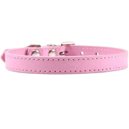 Collier cuir pour chat