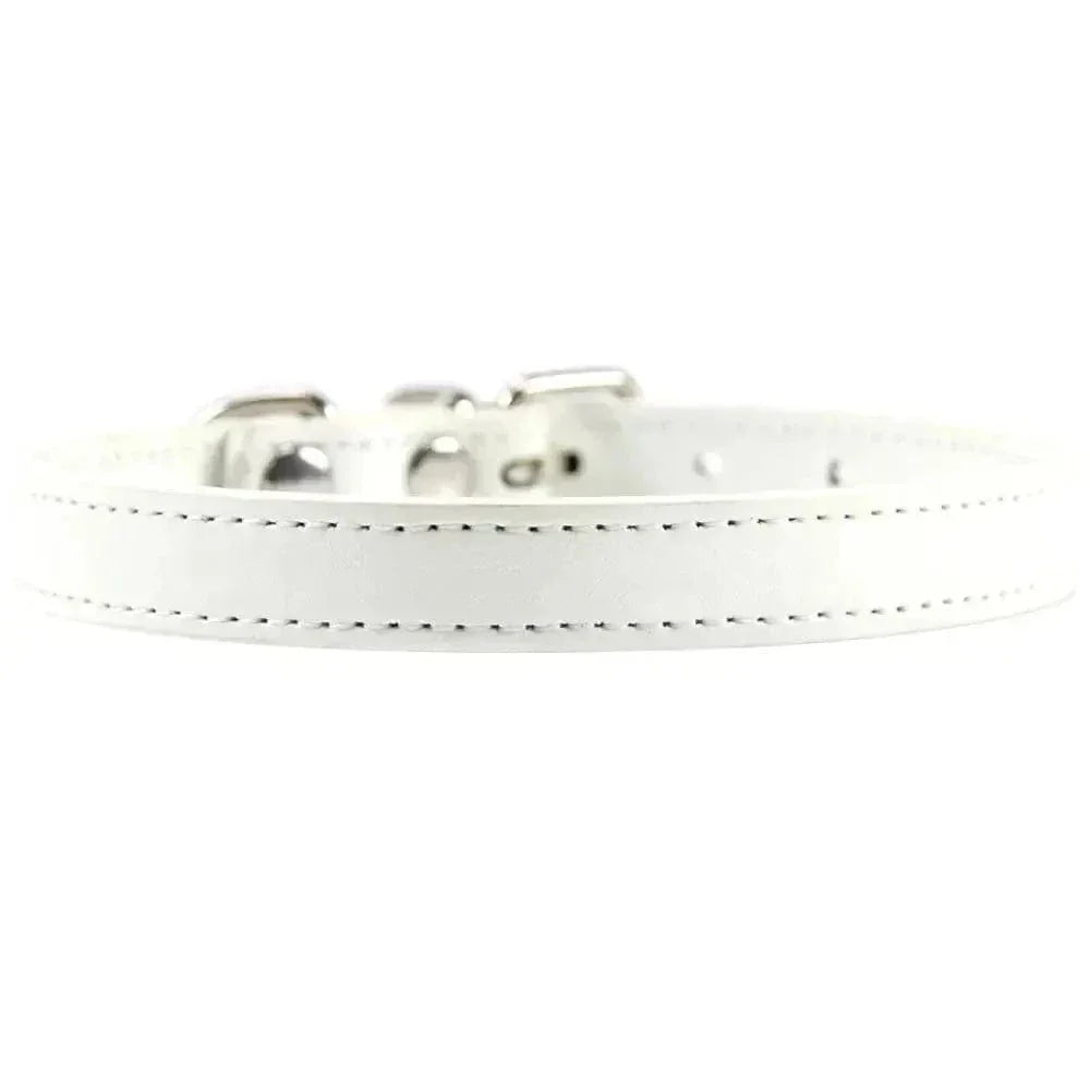Collier cuir pour chat