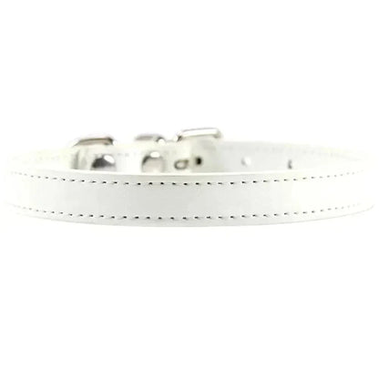 Collier cuir pour chat
