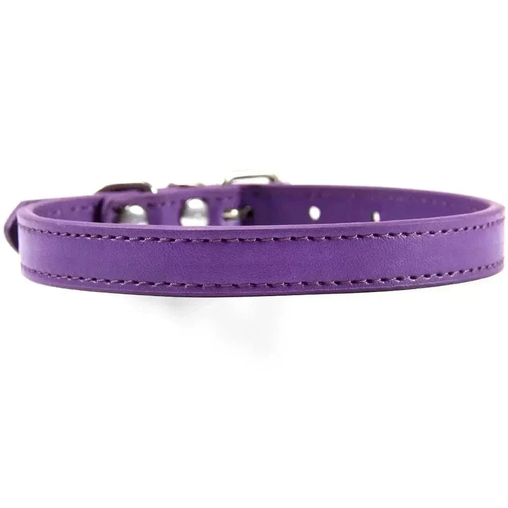 Collier cuir pour chat