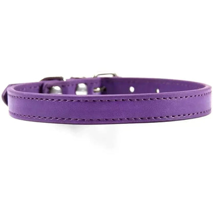 Collier cuir pour chat