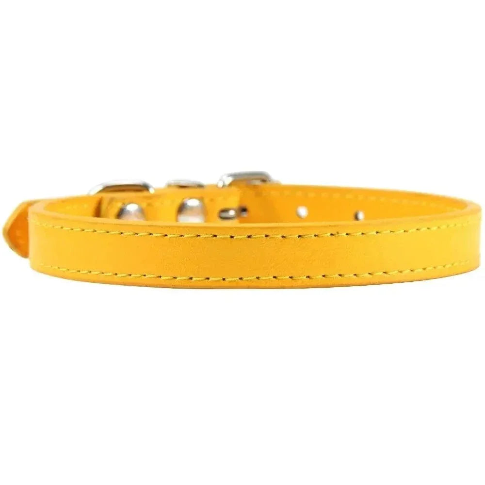 Collier cuir pour chat