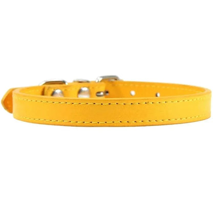 Collier cuir pour chat