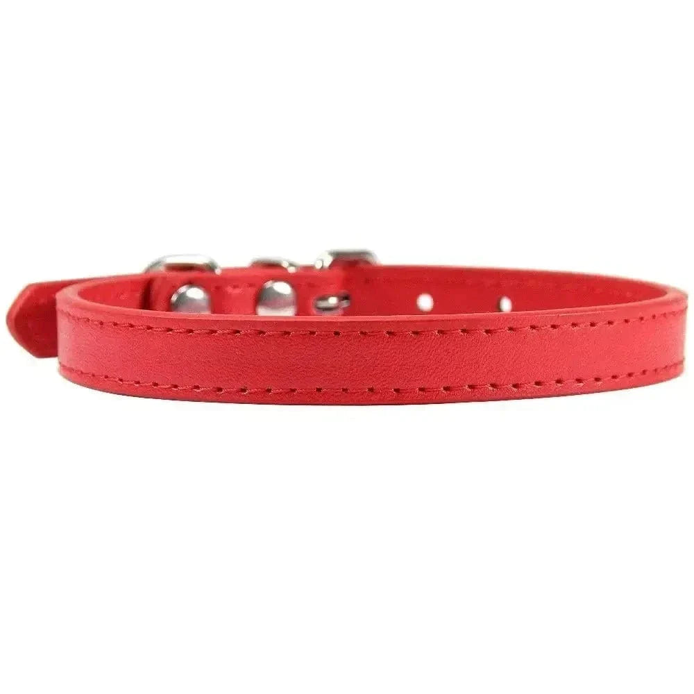 Collier cuir pour chat