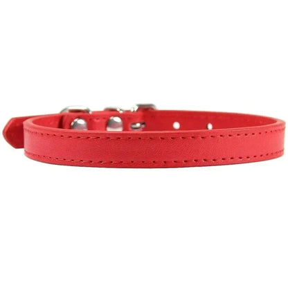 Collier cuir pour chat
