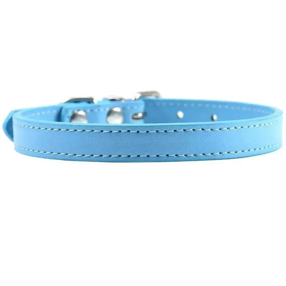 Collier cuir pour chat