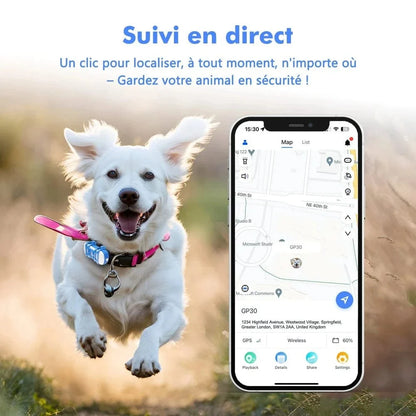 Collier GPS chat avec abonnement