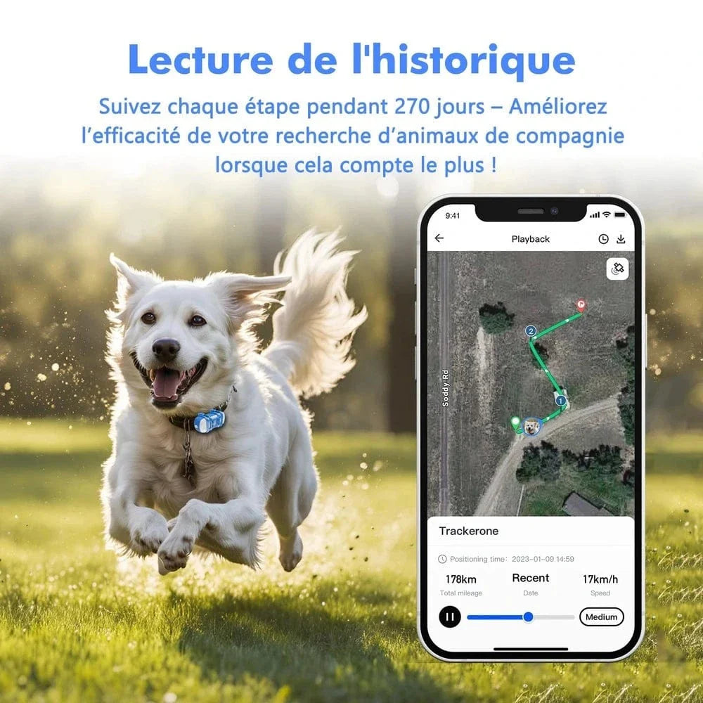 Collier GPS chat avec abonnement