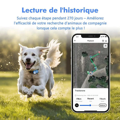 Collier GPS chat avec abonnement