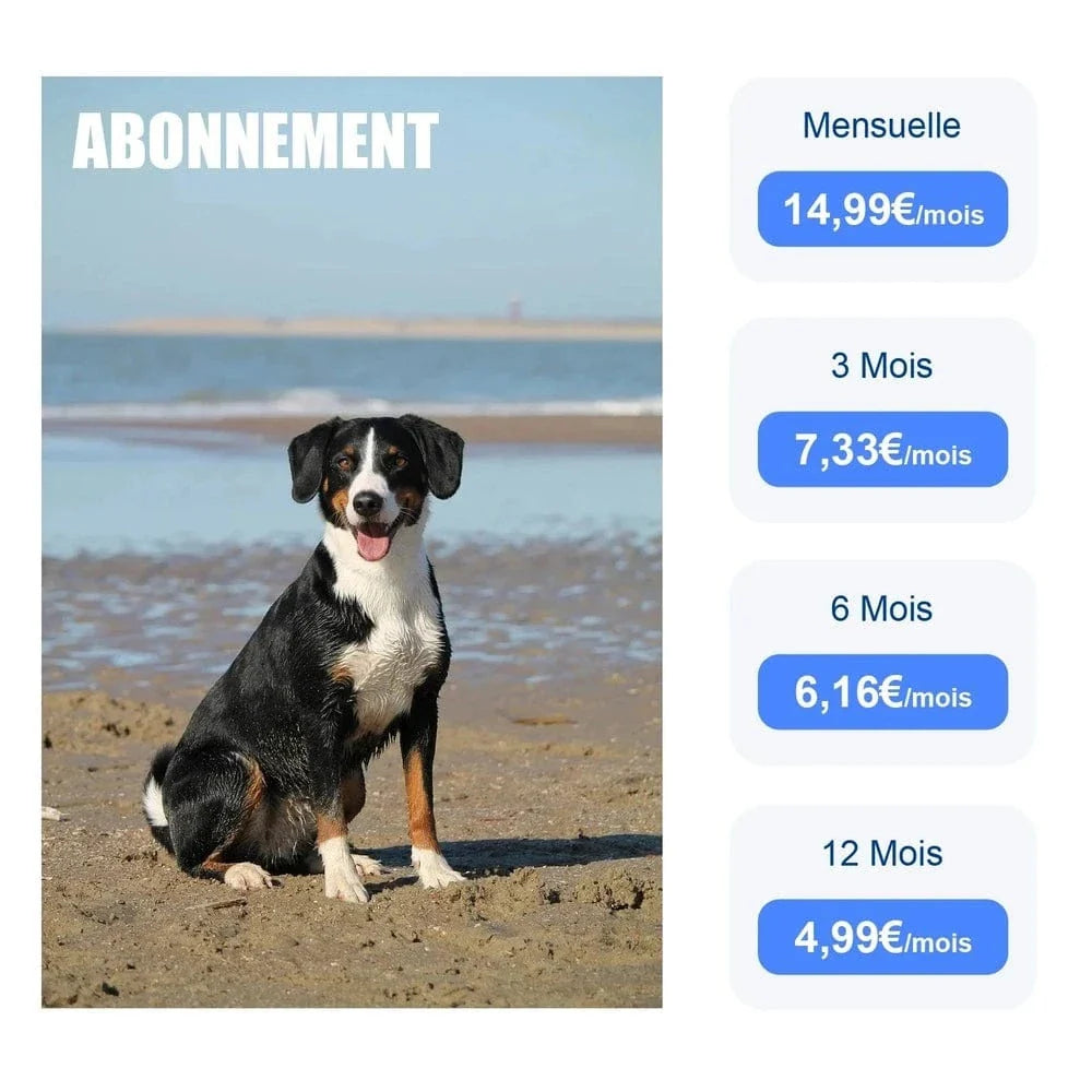 Collier GPS chat avec abonnement