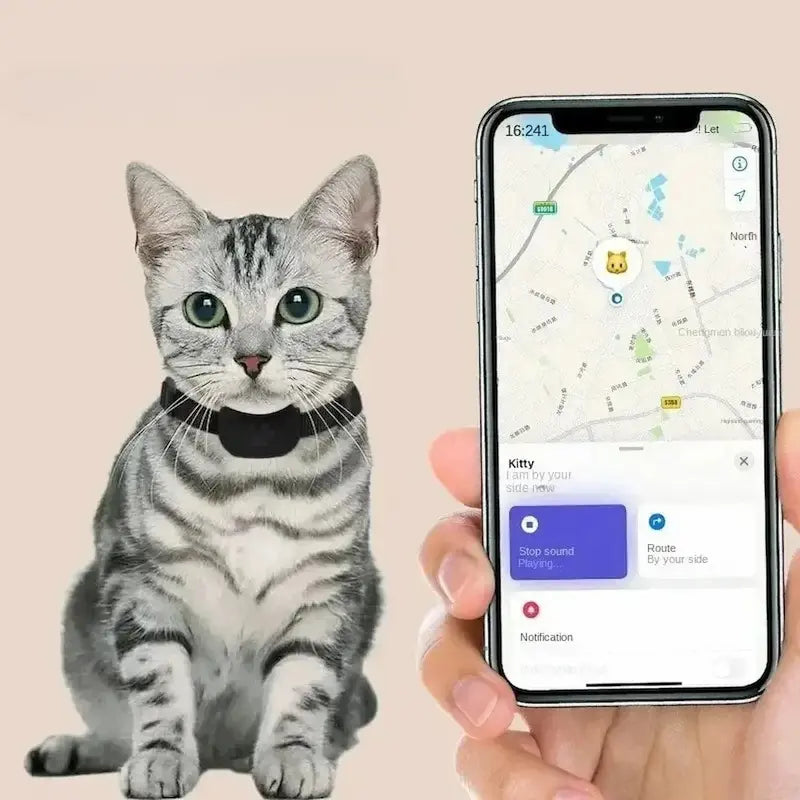 Collier de localisation pour chat - Zéro fugue | Trakomi