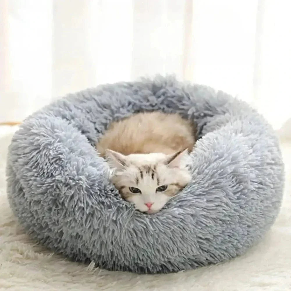 Coussin apaisant chat