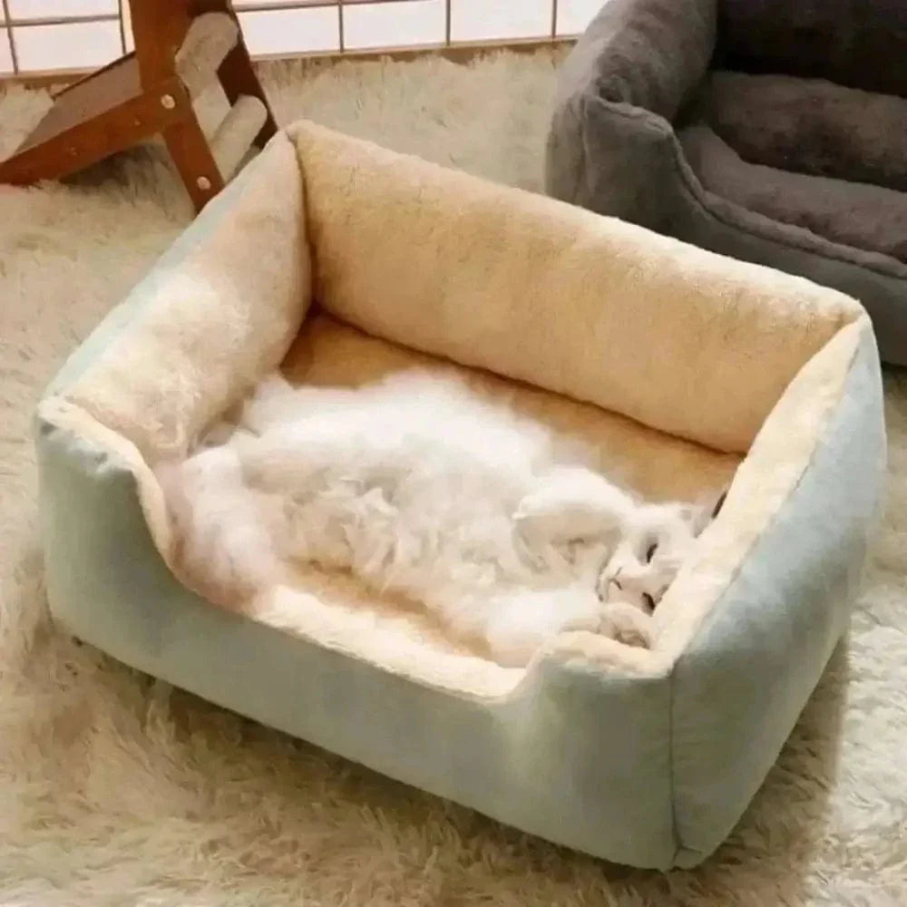 Coussin rectangulaire pour chat - Confort optimal | CozyRect