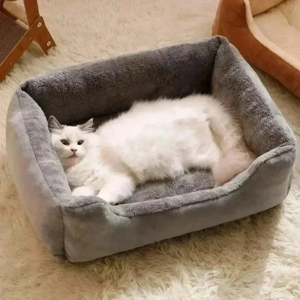 Coussin rectangulaire pour chat