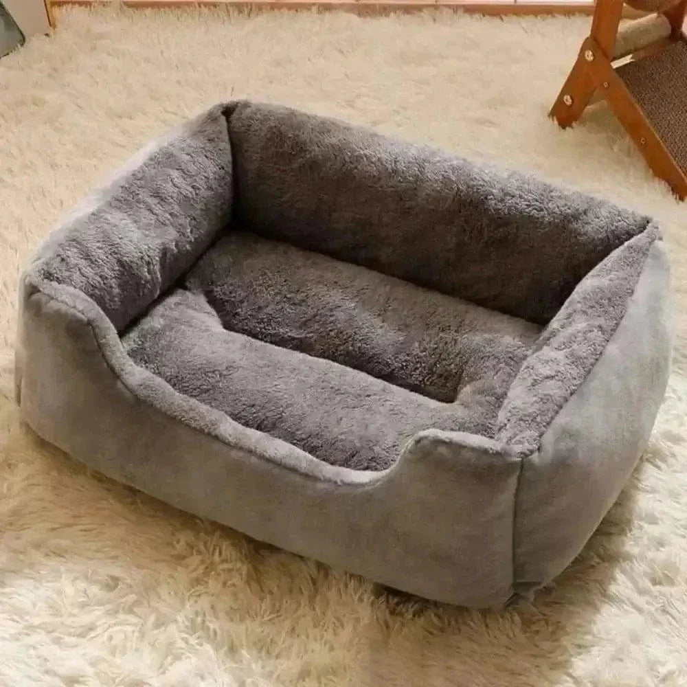 Coussin rectangulaire pour chat