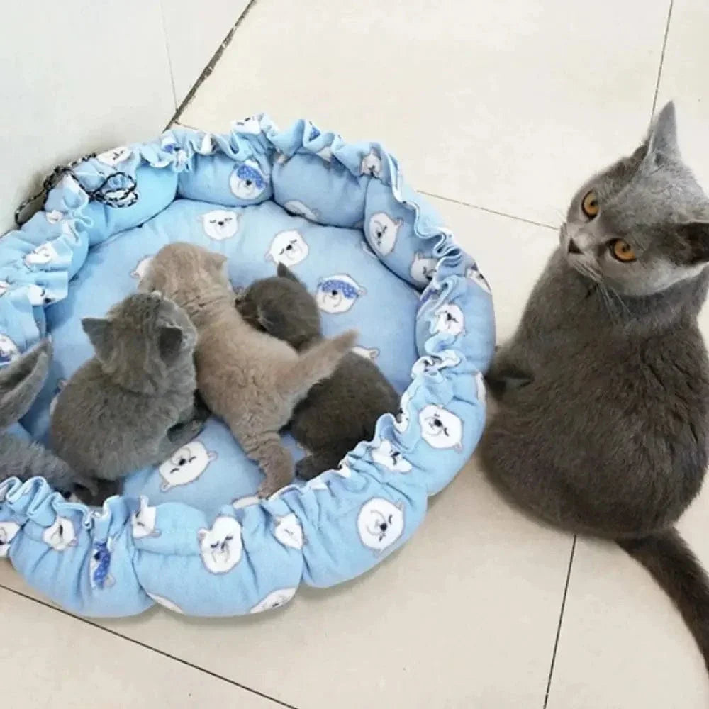 Coussin douillet pour chat - Cocoon de confort | CozyPaws