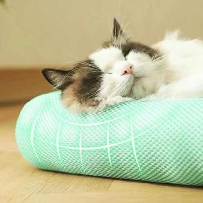 Coussin rafraichissant chat