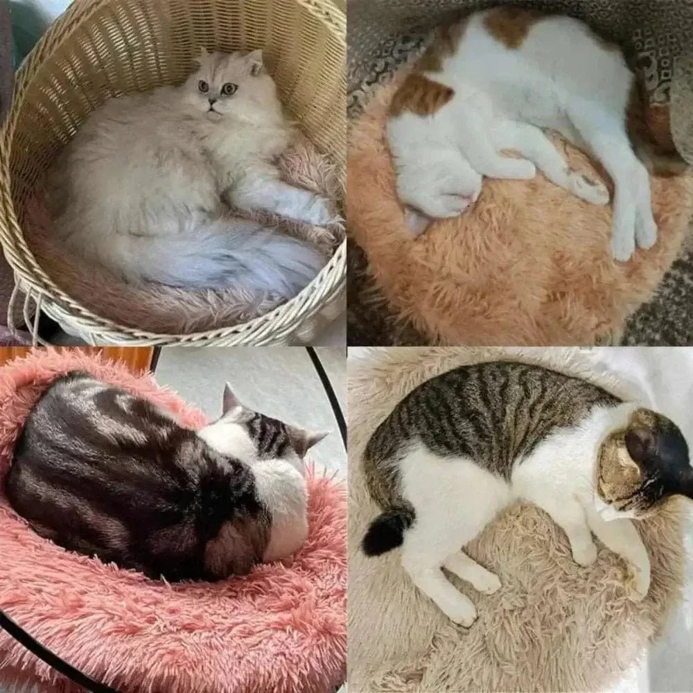 Coussin rond pour chat
