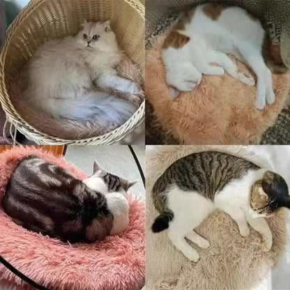 Coussin rond pour chat