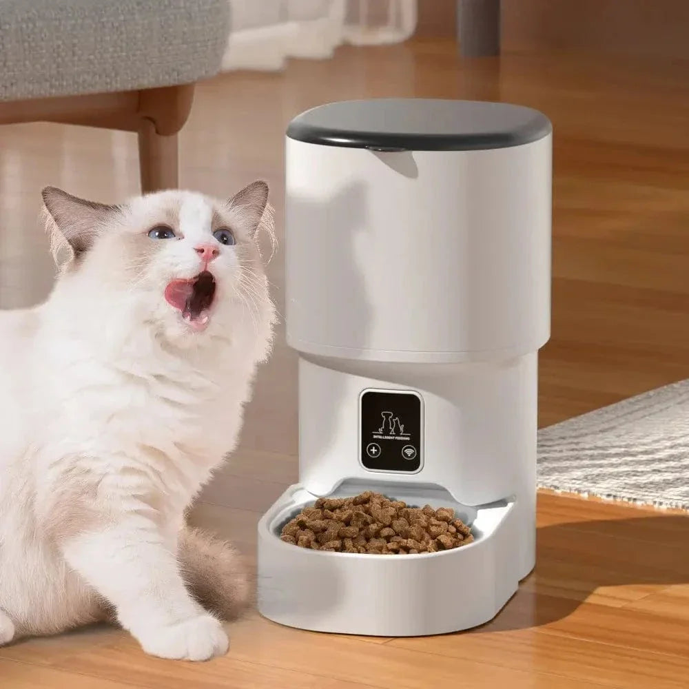 Distributeur croquettes intelligent chat