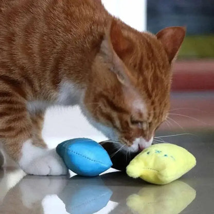 Doudou pour chat