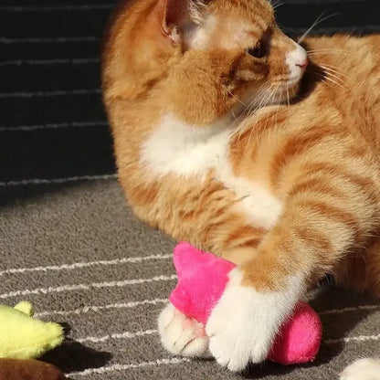 Doudou pour chat